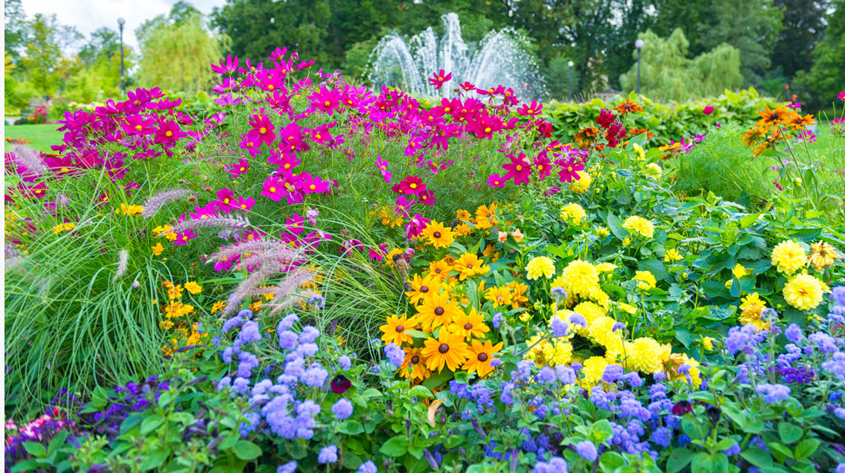 tuin_8