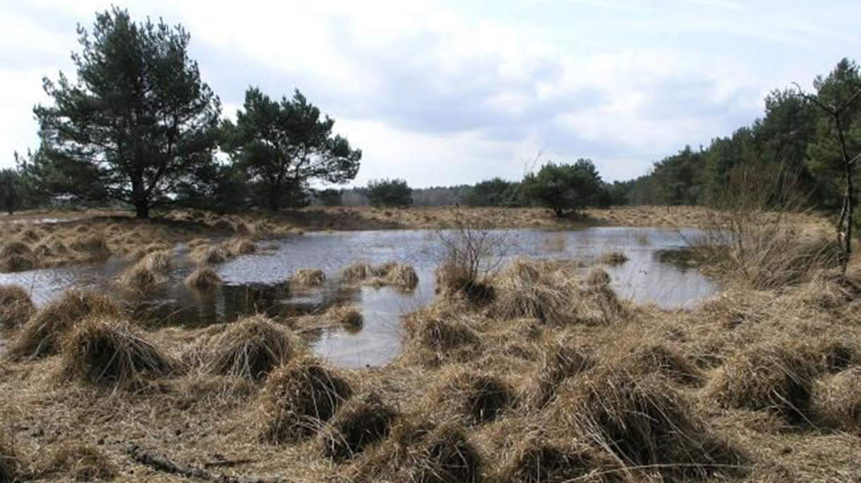 wandeling-november2