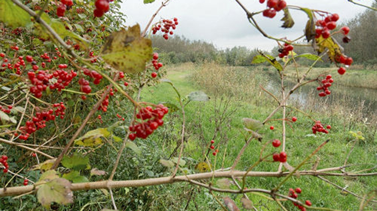 wandeling-september3
