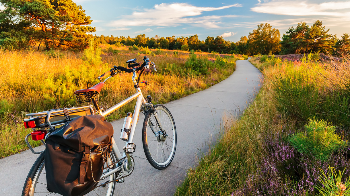 Electric bicycle in Dutch national park The Veluwe