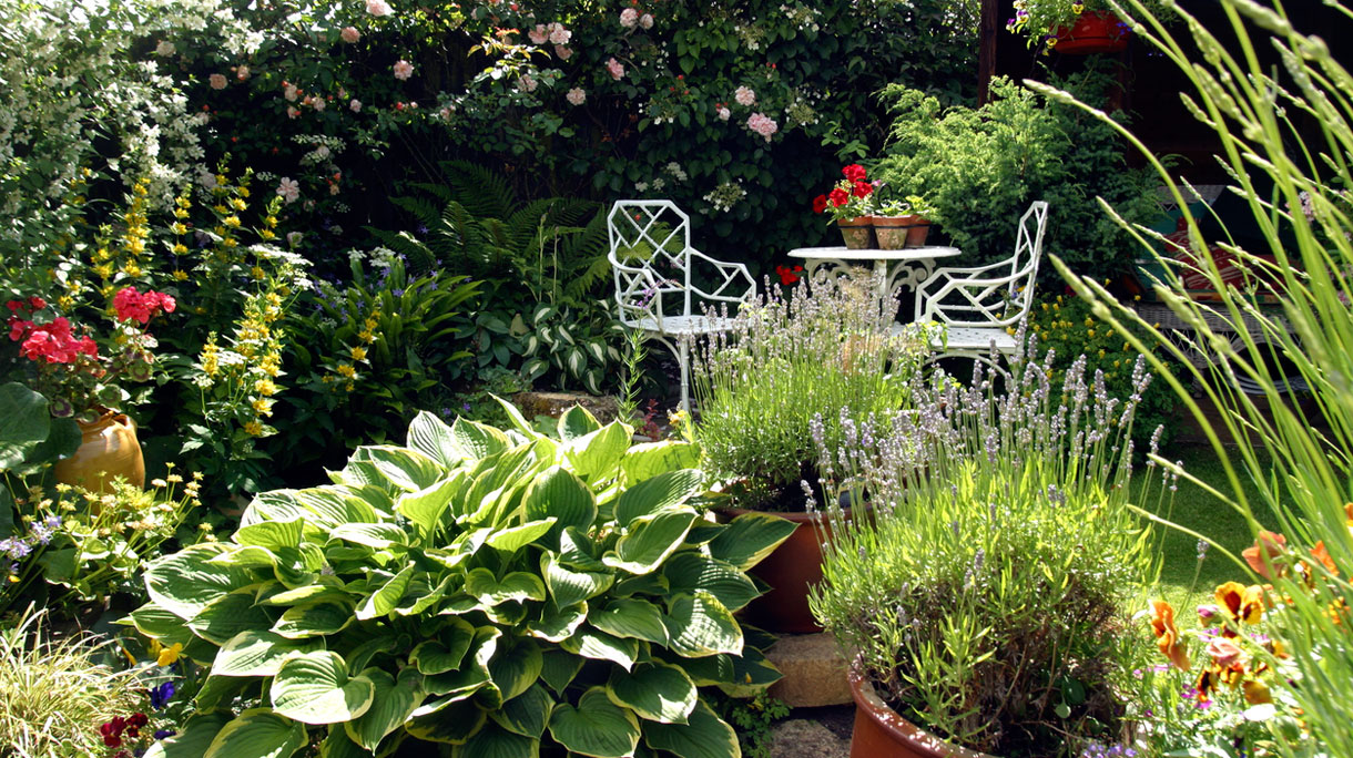 garden