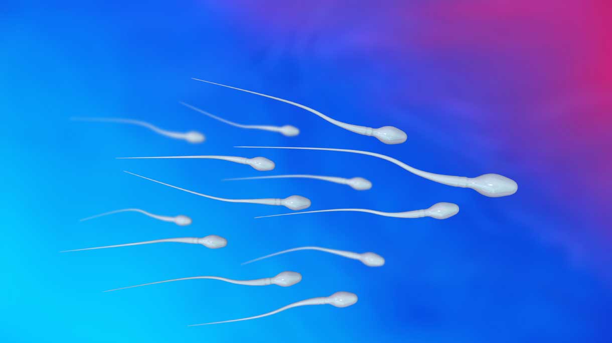istock-500800162