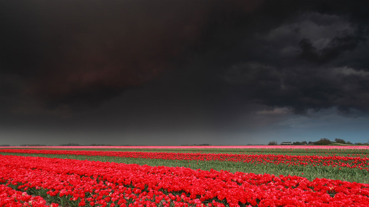 onweer_0
