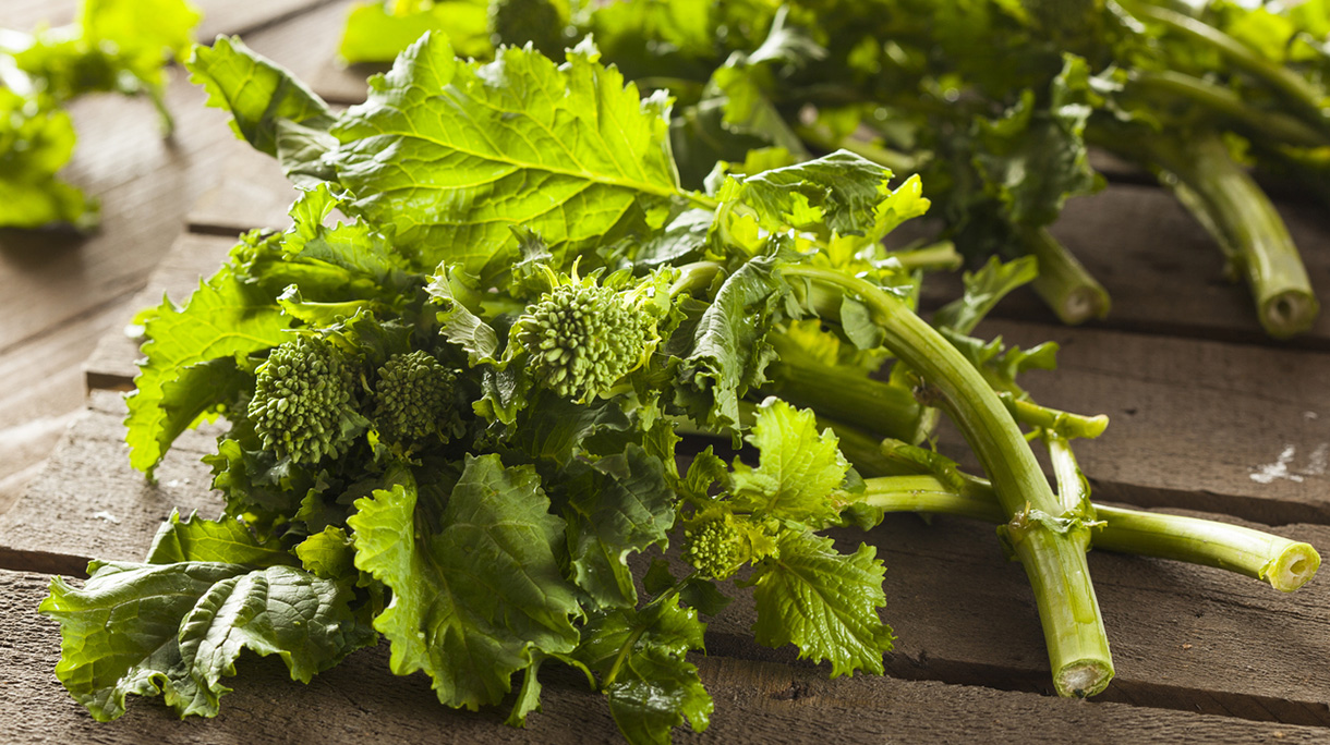 Organic Raw Green Broccoli Rabe Rapini
