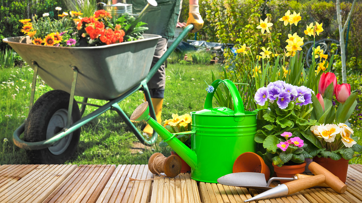 Gardening tools and flowers on the terrace