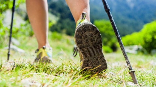 istock_000022199043_medium