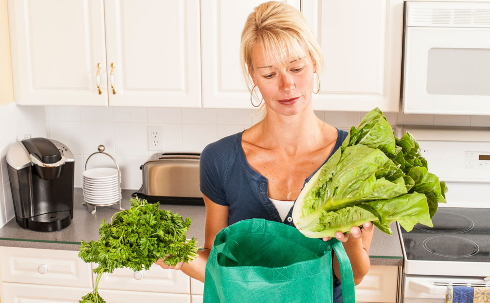 istock_000058078606_medium