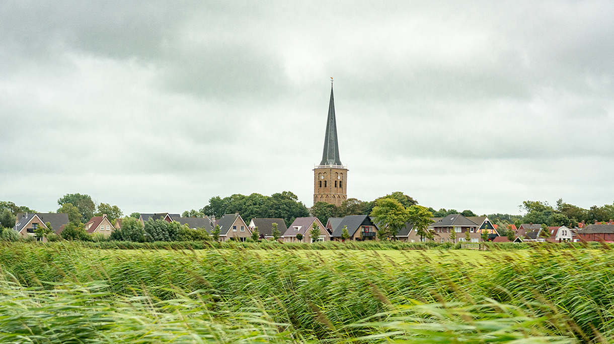 Windswept typical dutch landscape of the north of the netherlands