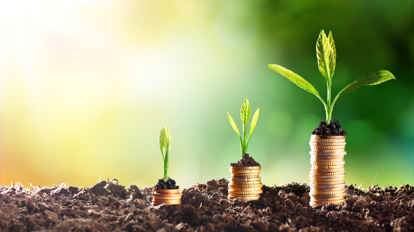 Growing Money – Chart In Rise