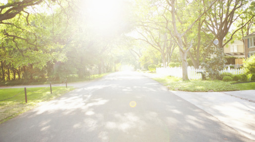 zon_1