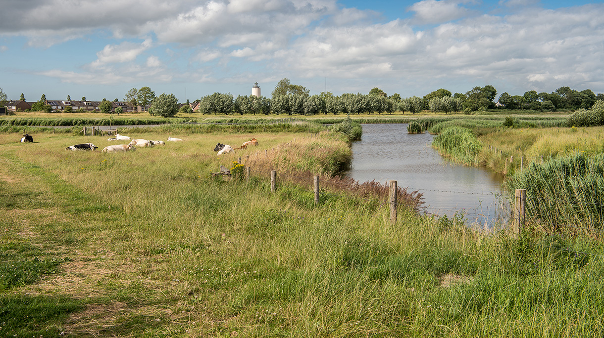 Hella Oostburg Zeeuws Vl-243.jpg