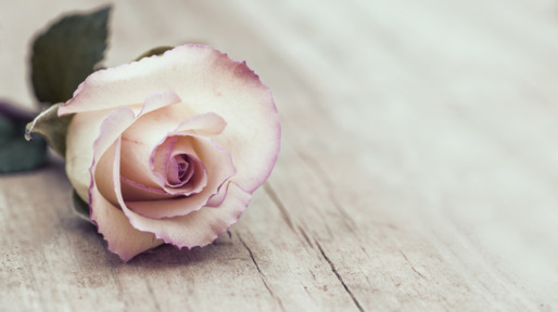 Vintage Rose