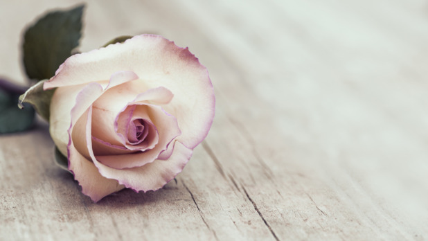 Vintage Rose