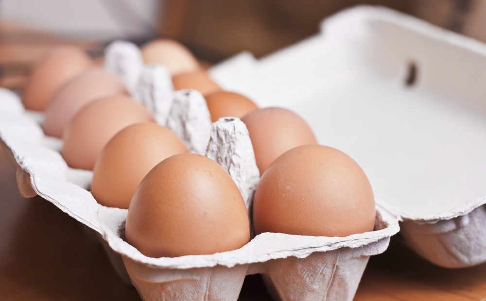 istock_000037010550_large-1