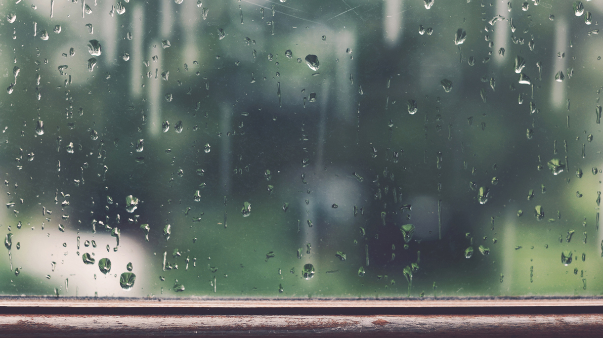 Rainy window