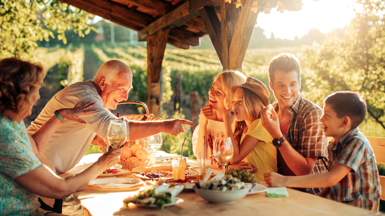 Family having a picnic