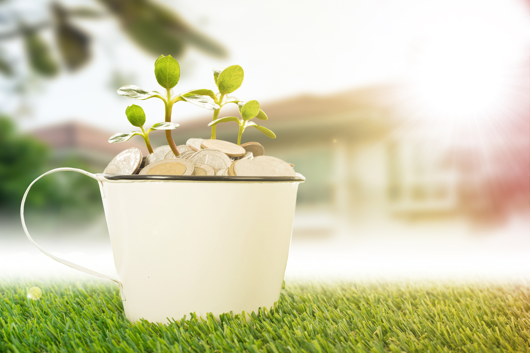 Growing business