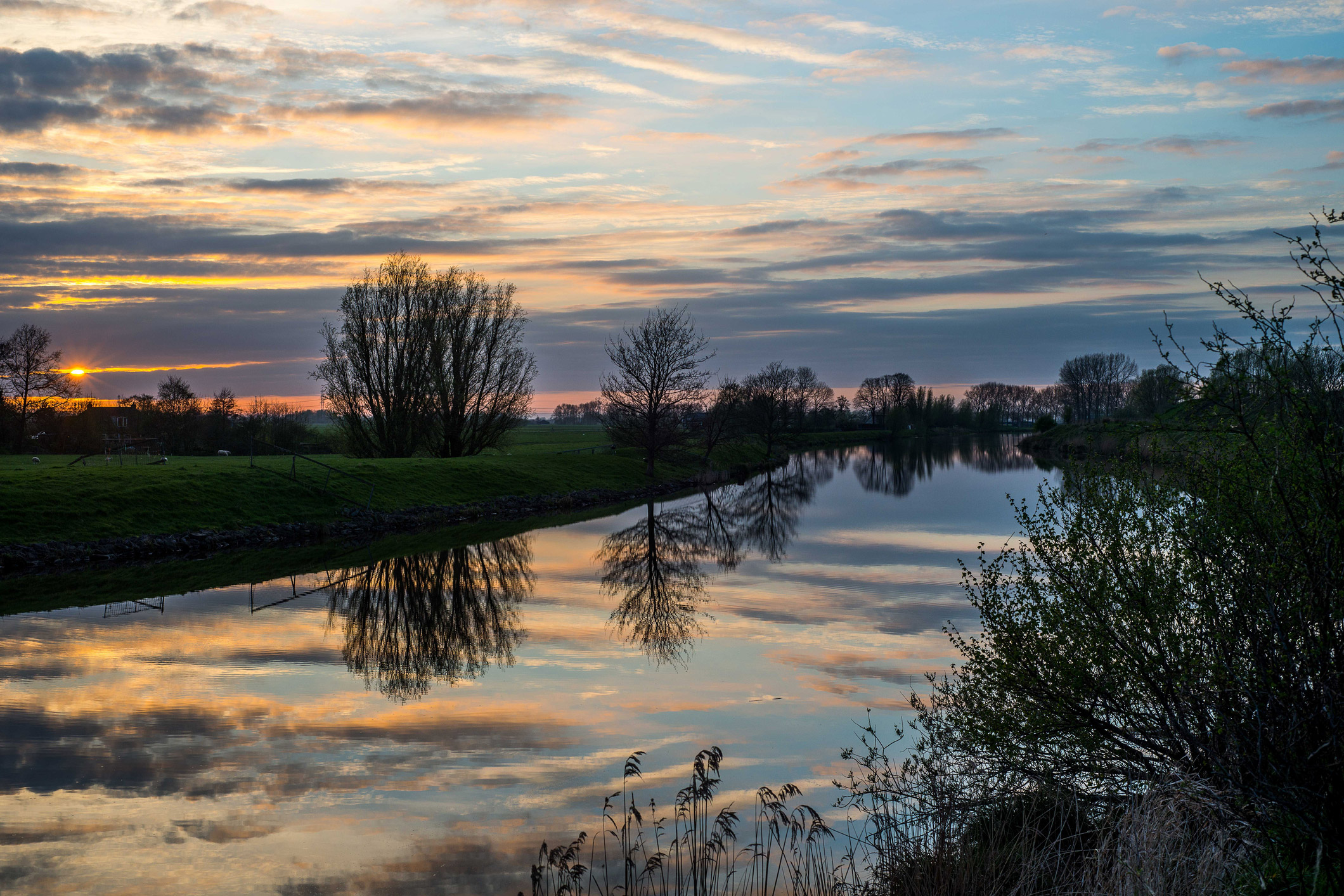 Reitdiep