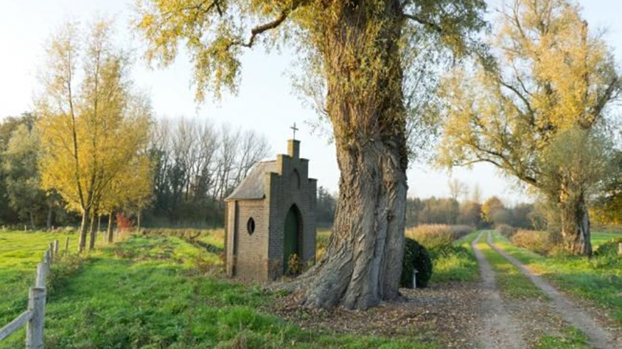 wandeling-oktober2