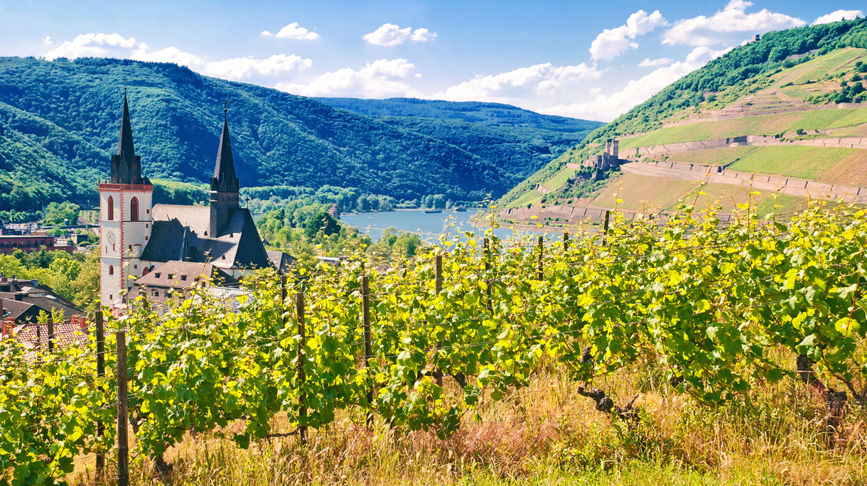Am Rheinknie bei Bingen mit M?useturm und Burg Ehrenfels