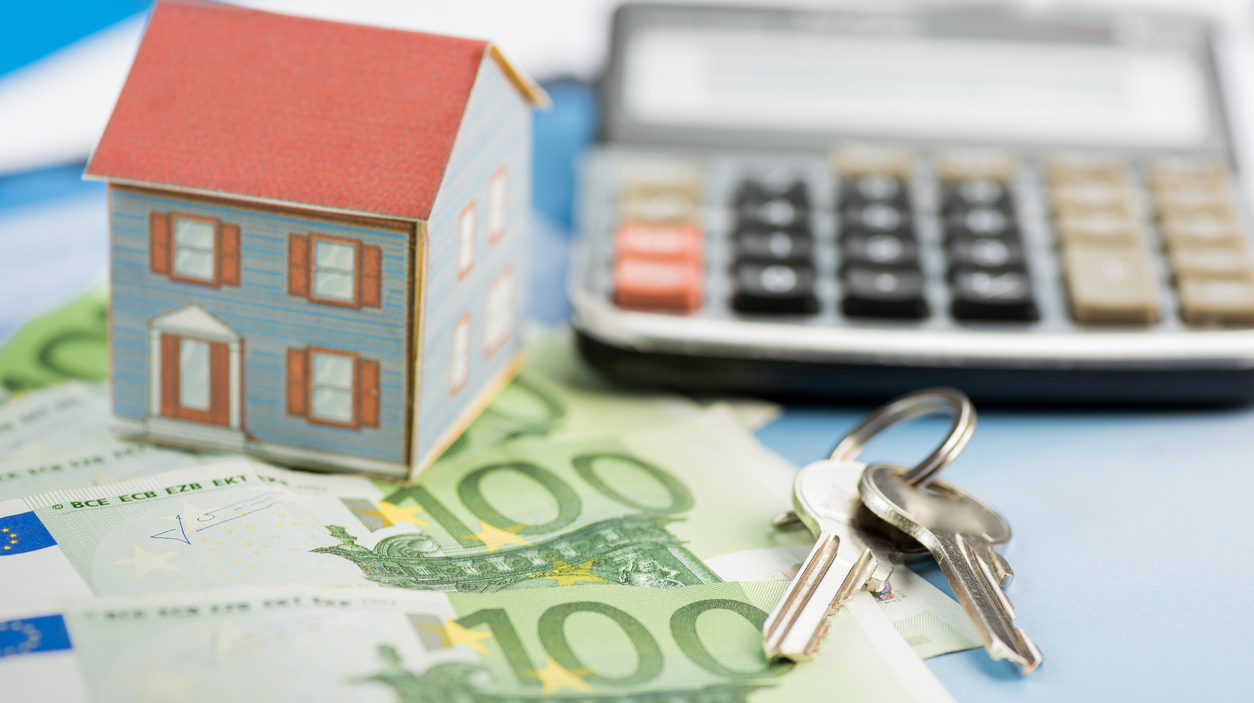 The concept of home ownership and Euro