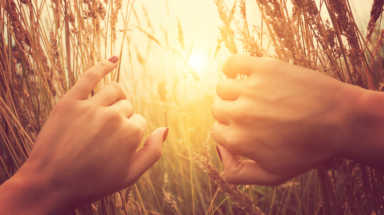 Girl relaxing in a wheat-field.