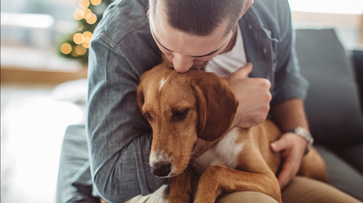 He really is man’s best friend