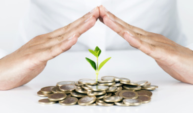 Money Tree