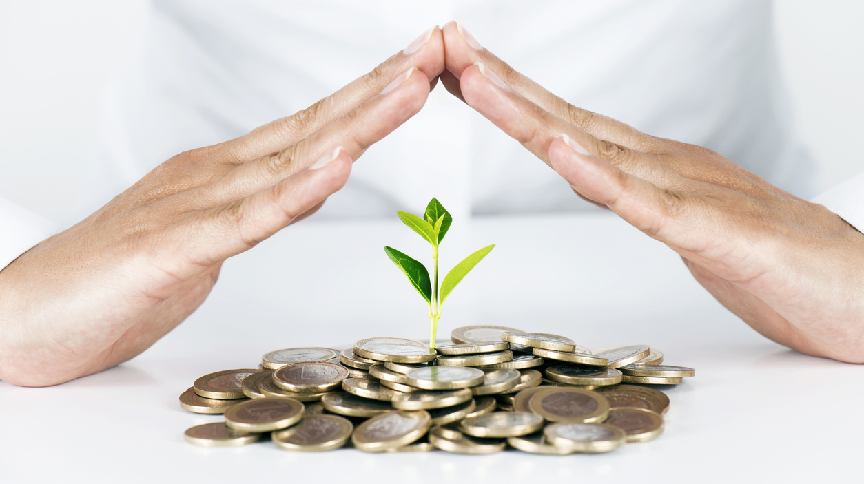 Money Tree