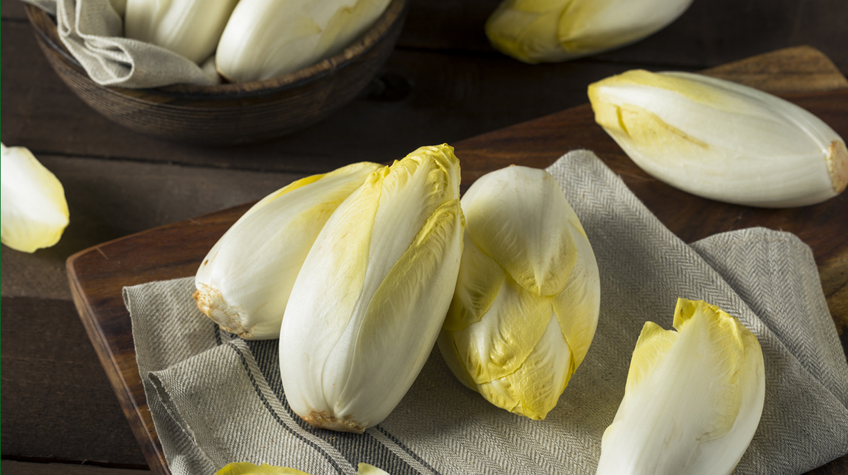 Raw Organic Belgian Endive