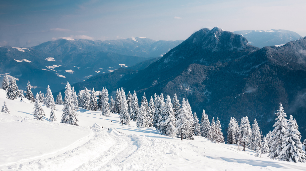 Winter Landscape