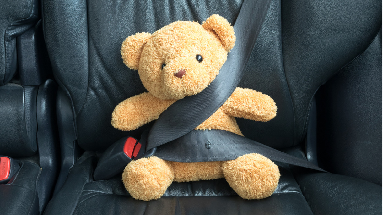 teddy-bear-fastened-in-the-back-seat-of-a-car-picture-id616247450