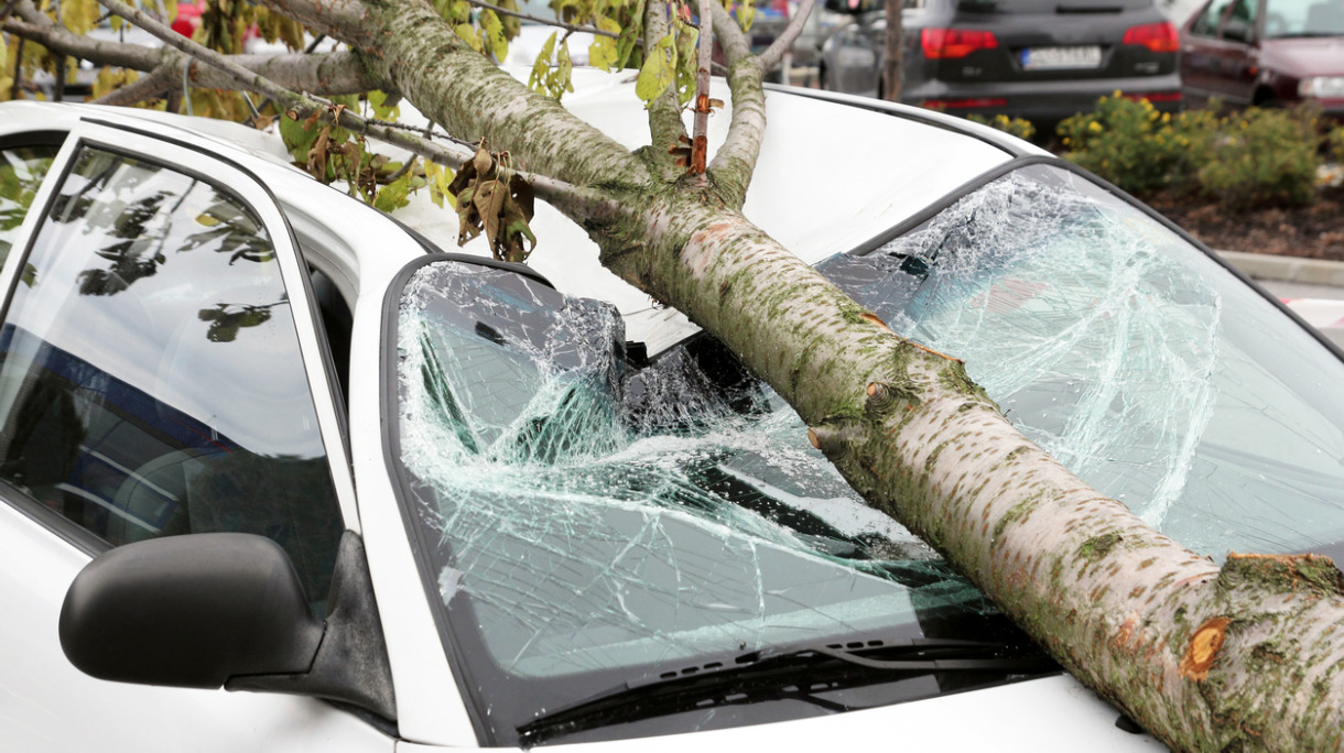 damaged-car-picture-id612010394