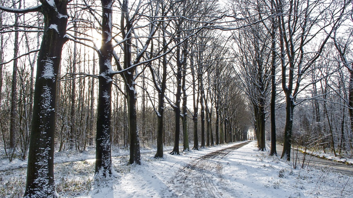 hoofdbeeld_winter_1220