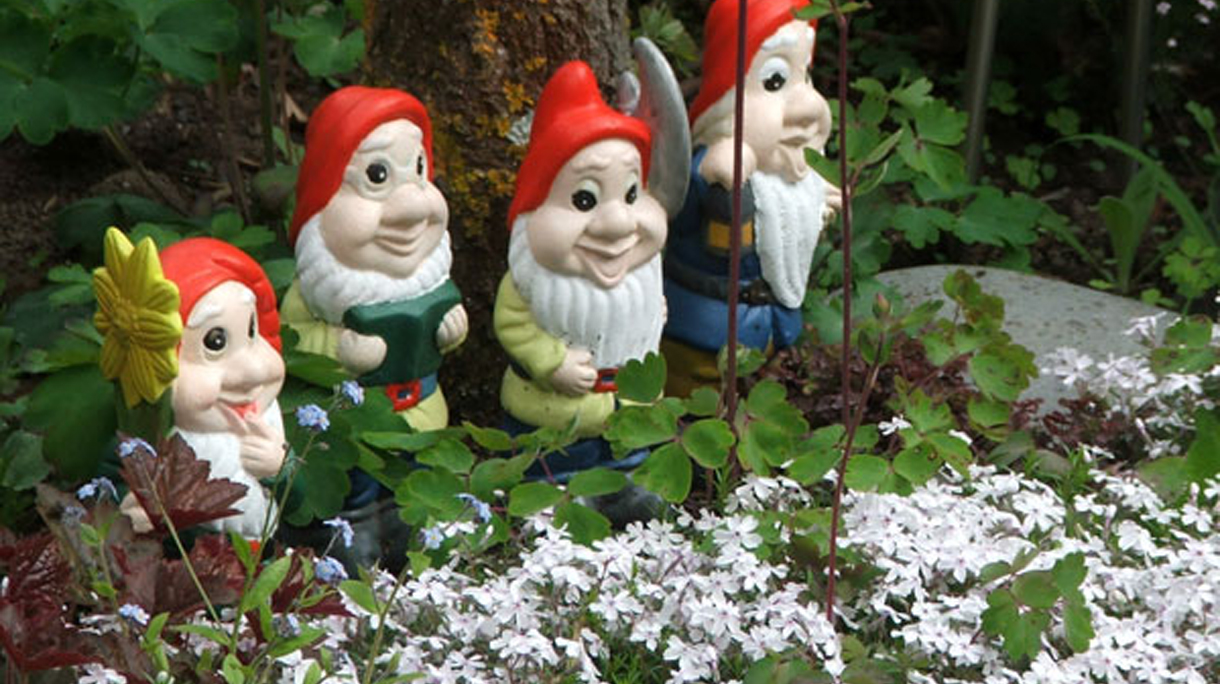 disney-gnome-phlox