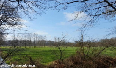 tt-beetsterzwaag2_kopbeeld