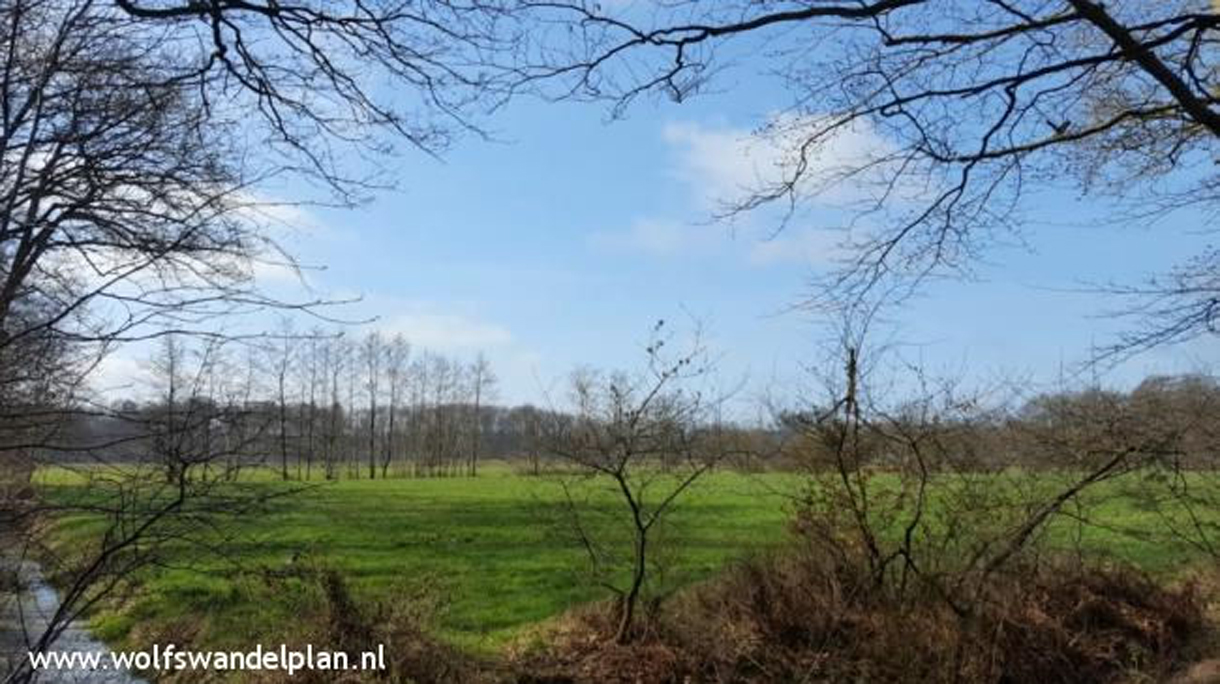 tt-beetsterzwaag2_kopbeeld