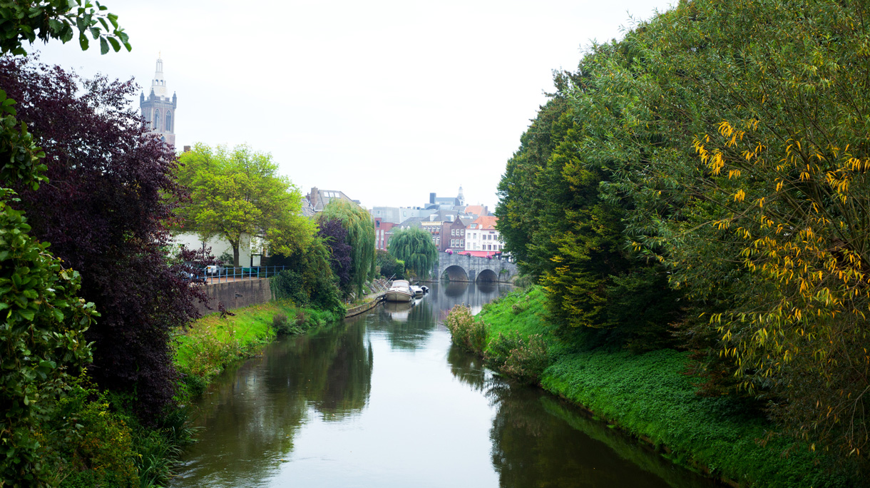 fletcher-roermondhoofdbeeld