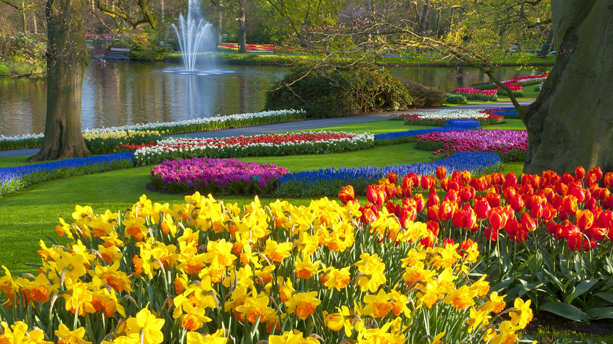 Spring Flowers in a Park