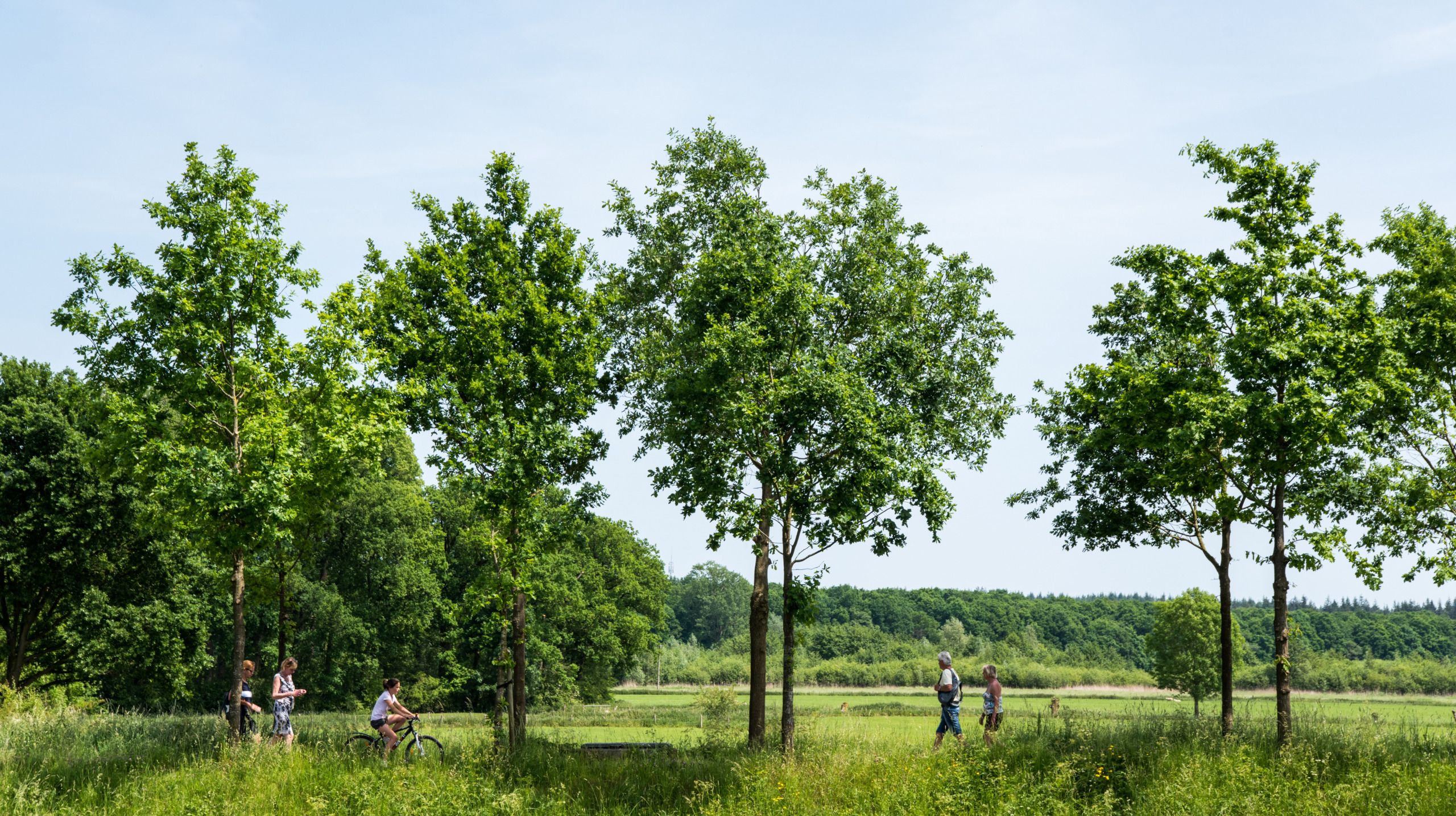 Buitenplaatsen Utrecht LvdP-3817.jpg