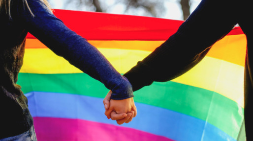 two-lesbian-girls-holding-hands-and-rainbow-flag-picture-id641668048