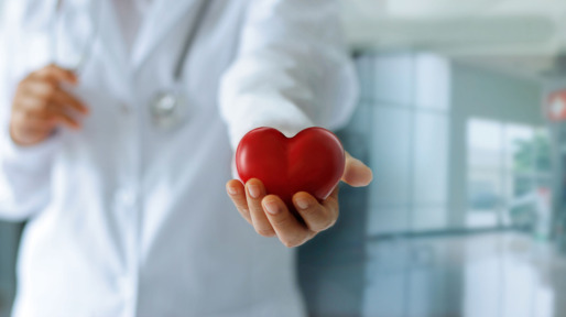 Medicine doctor holding red heart shape in hand, medical concept