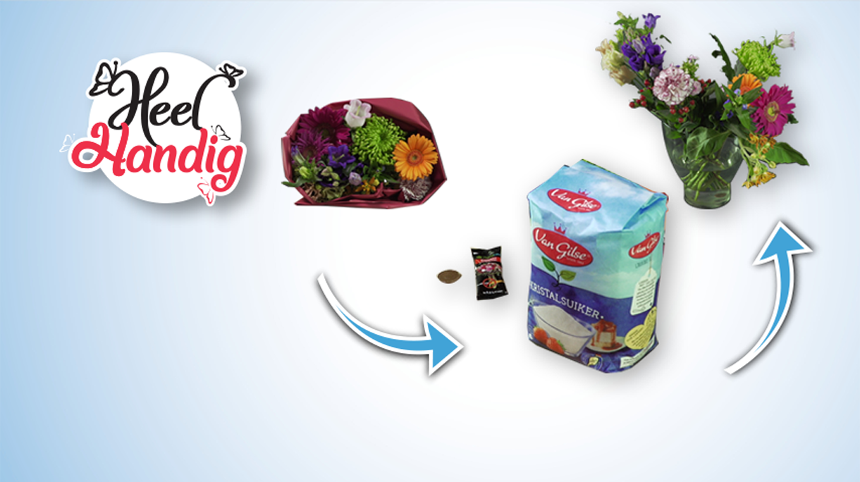 bloemen_v2
