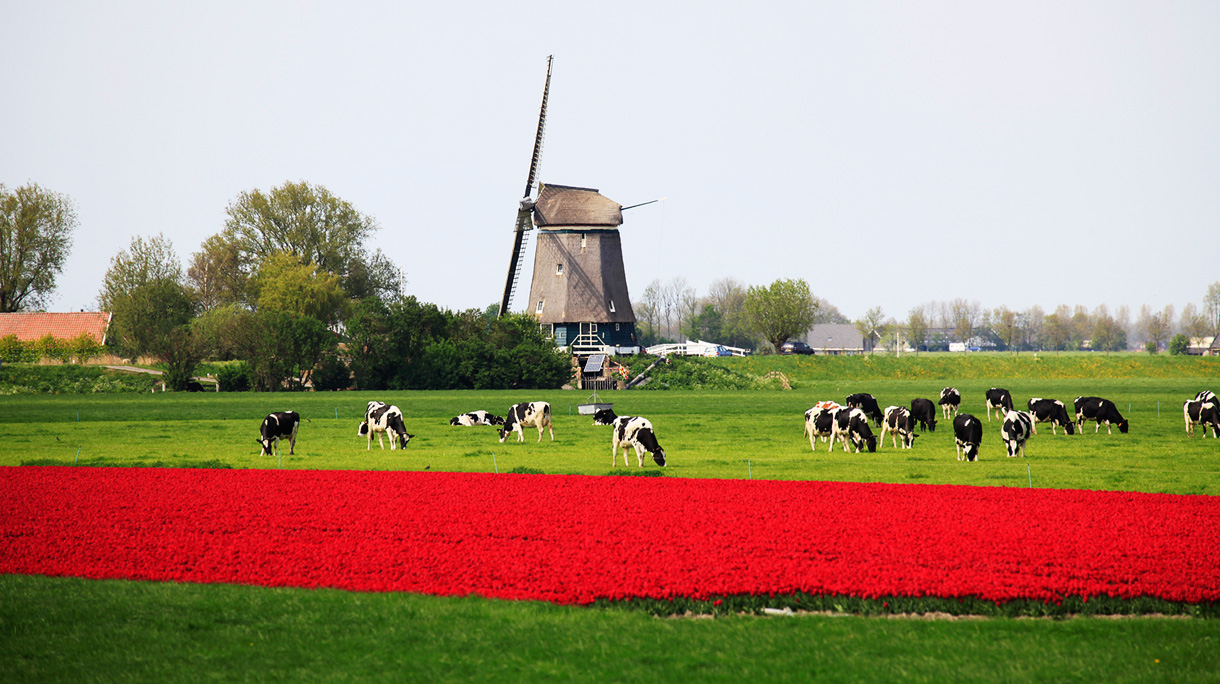 pol-beemster_0