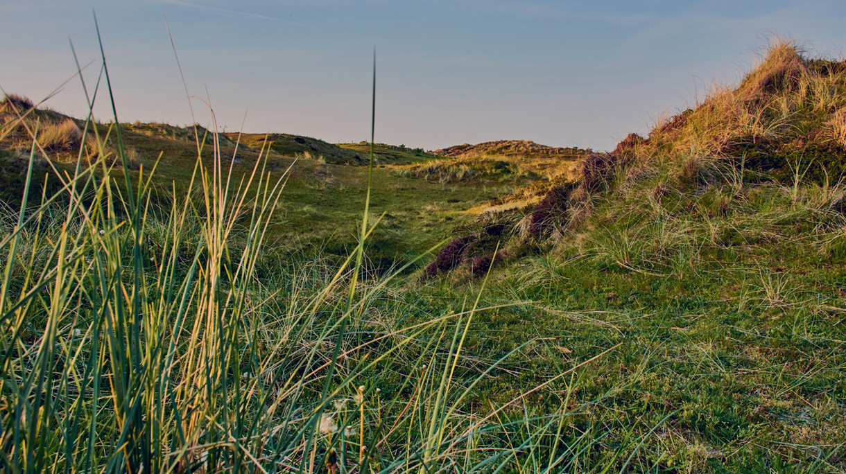 schoorl
