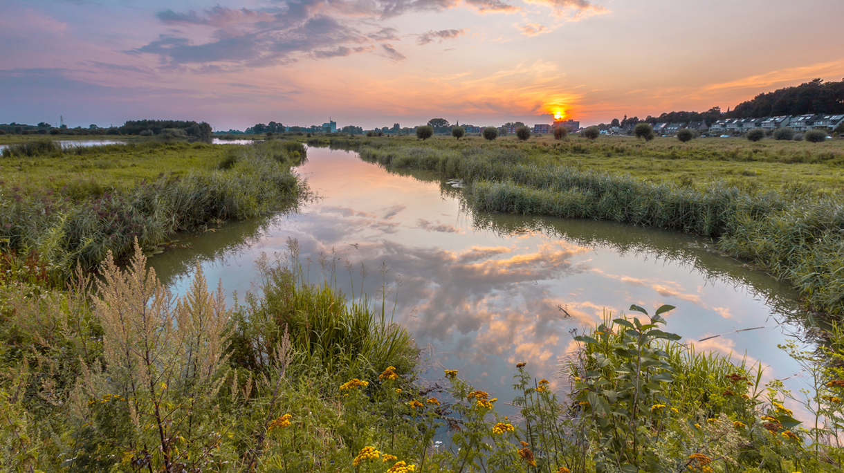 betuwe