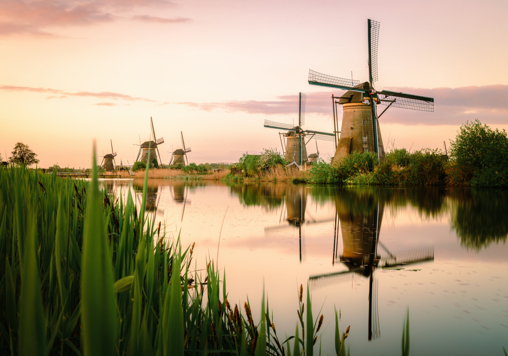 Traditional Dutch windmills at sunrise