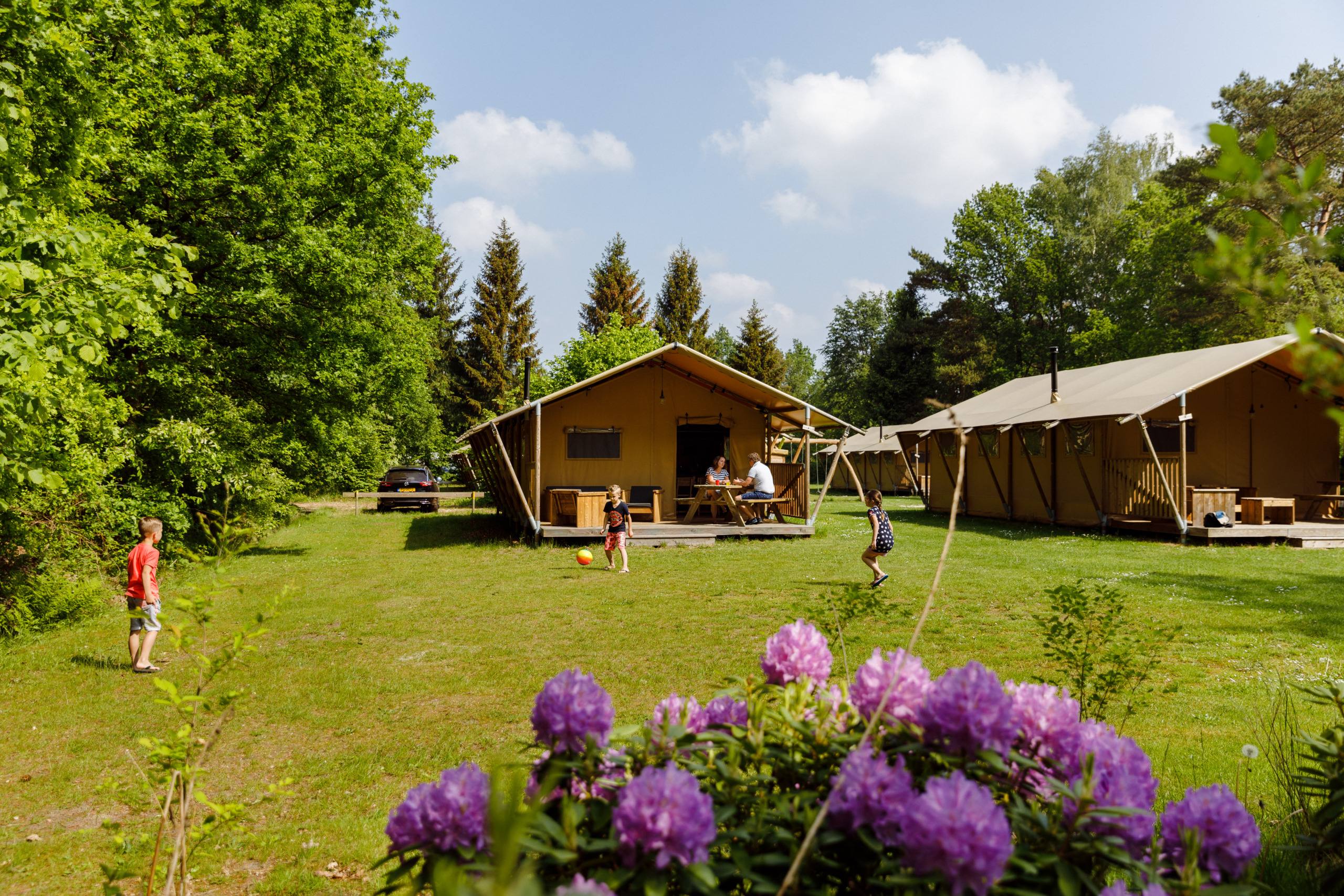 rcn-vakantiepark-de-roggeberg-safaritent-de-wolde-lodge_11