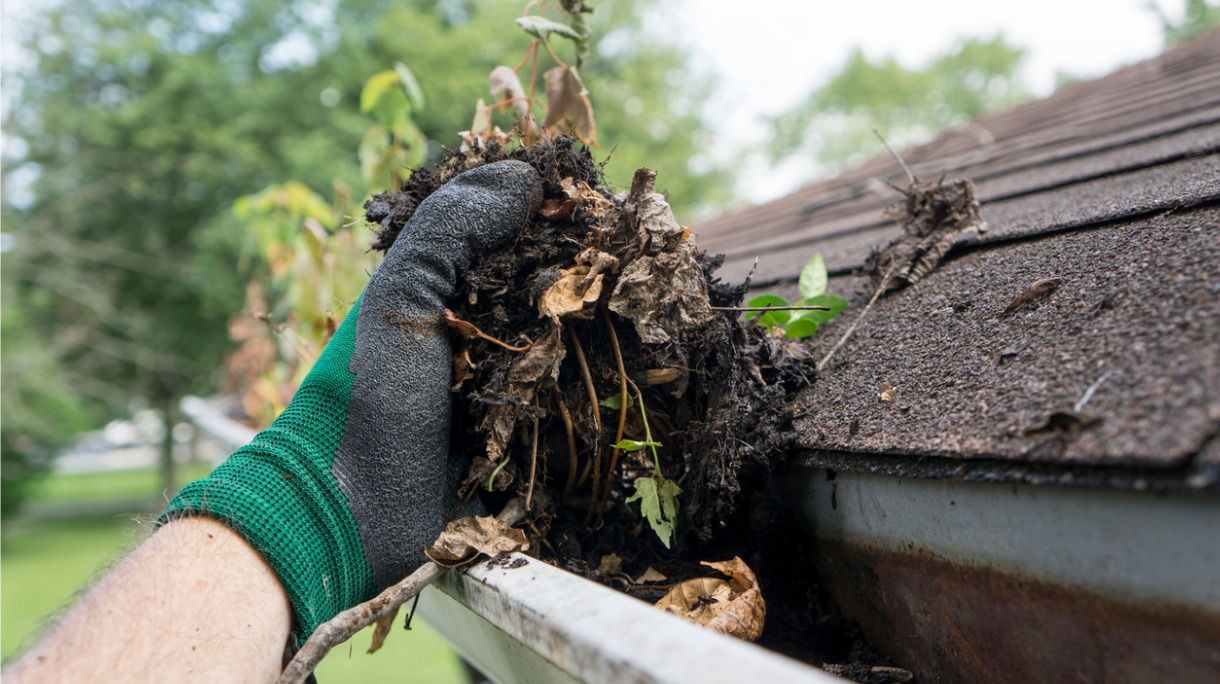 cleaning-gutters-during-the-summer-picture-id487506494