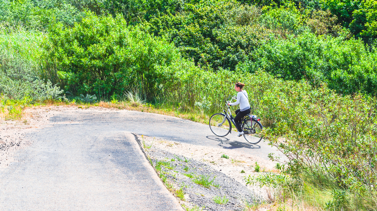 e-bike-motor_0